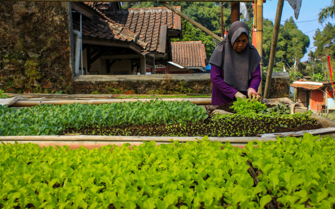 The Landscape for Impact Investing in Southeast Asia